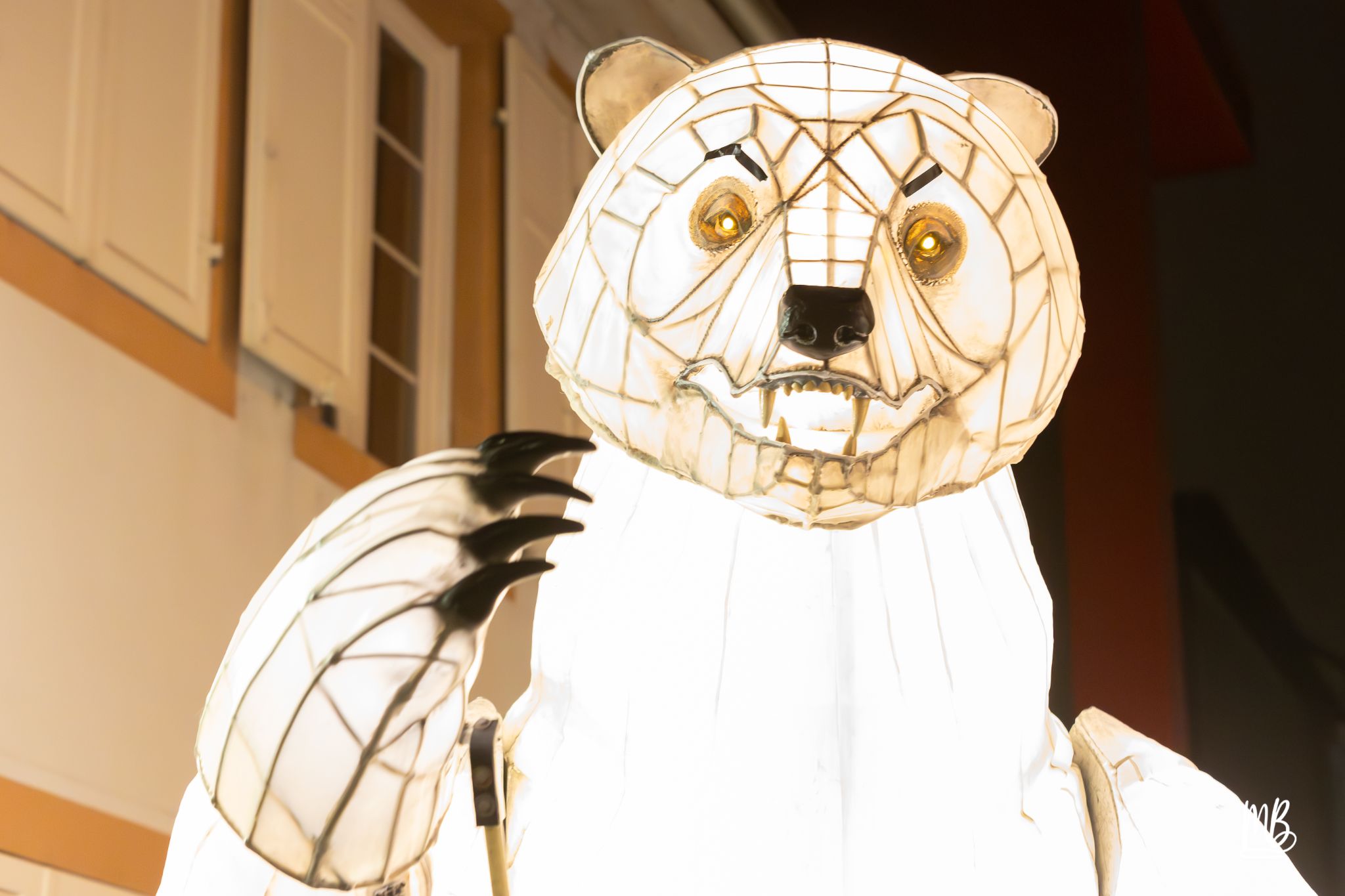 MB2024 CIE REMUE MENAGE(Gueule d'ours) (48 sur 107)